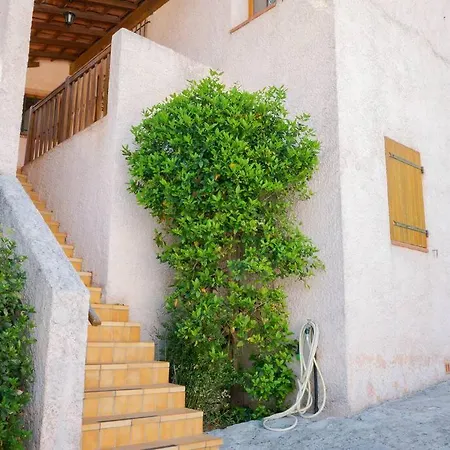 Maison Familiale Sous Les Palmiers De Hyères