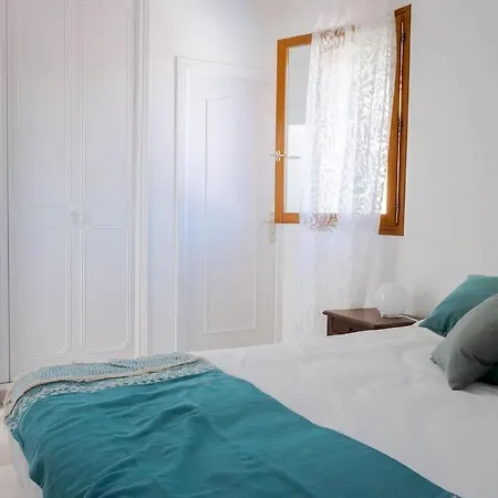 Maison Familiale Sous Les Palmiers De Villa Hyères